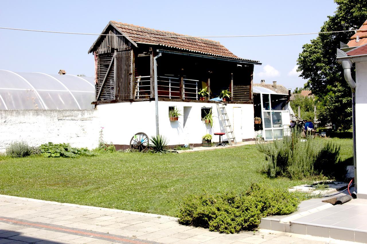Lux House Olga Apartment Ruma Exterior photo